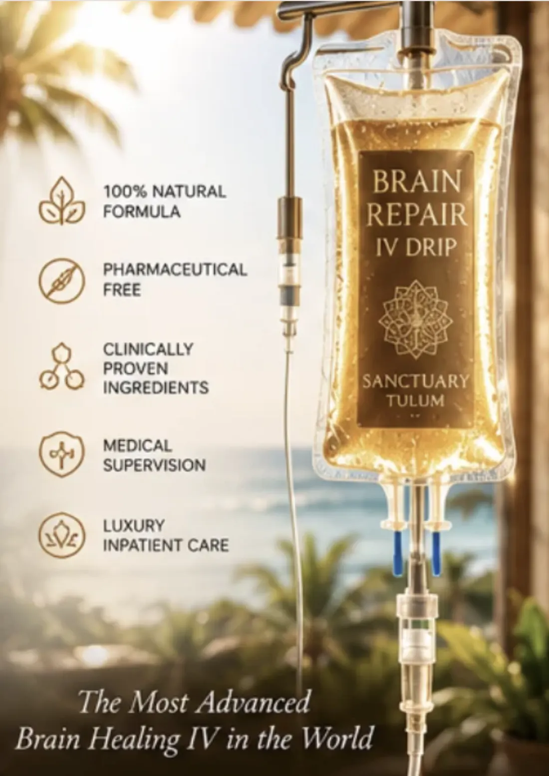Infographic for the Brain Repair IV Drip protocol created by Johnny Tabaie: natural formula, medical supervision and luxury inpatient care