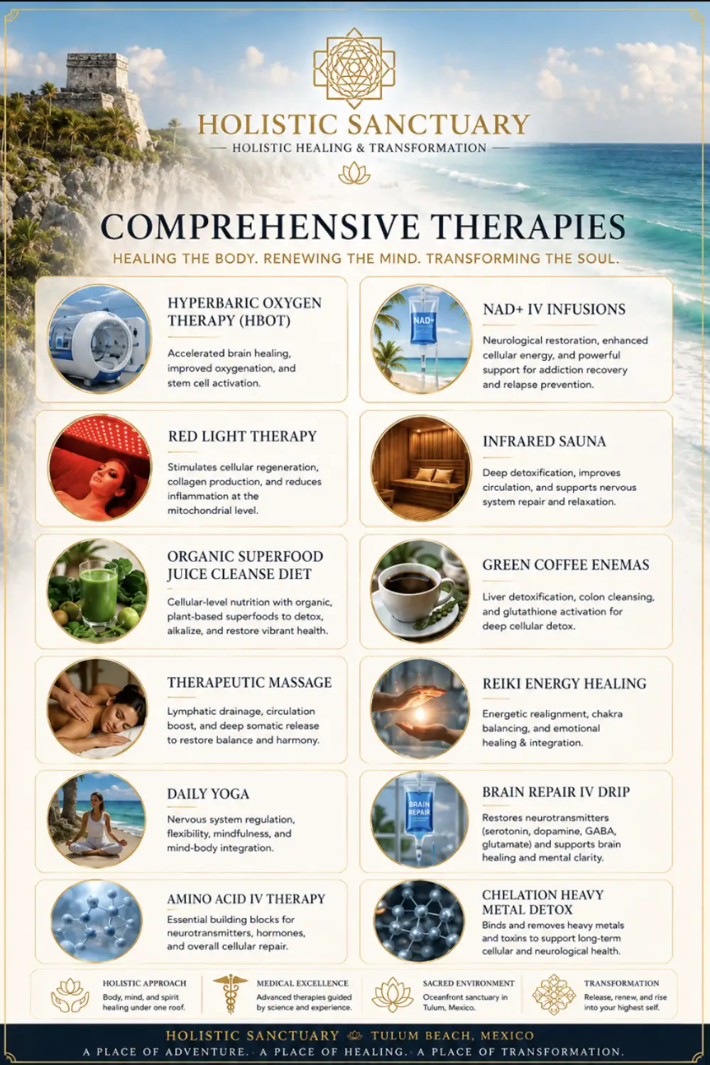 Holistic Sanctuary infographic listing comprehensive therapies including hyperbaric oxygen therapy, NAD+ IV infusions, red light therapy, infrared sauna, organic superfood juice cleanse, therapeutic massage, reiki, daily yoga, Brain Repair IV drip, amino acid IV therapy and chelation
