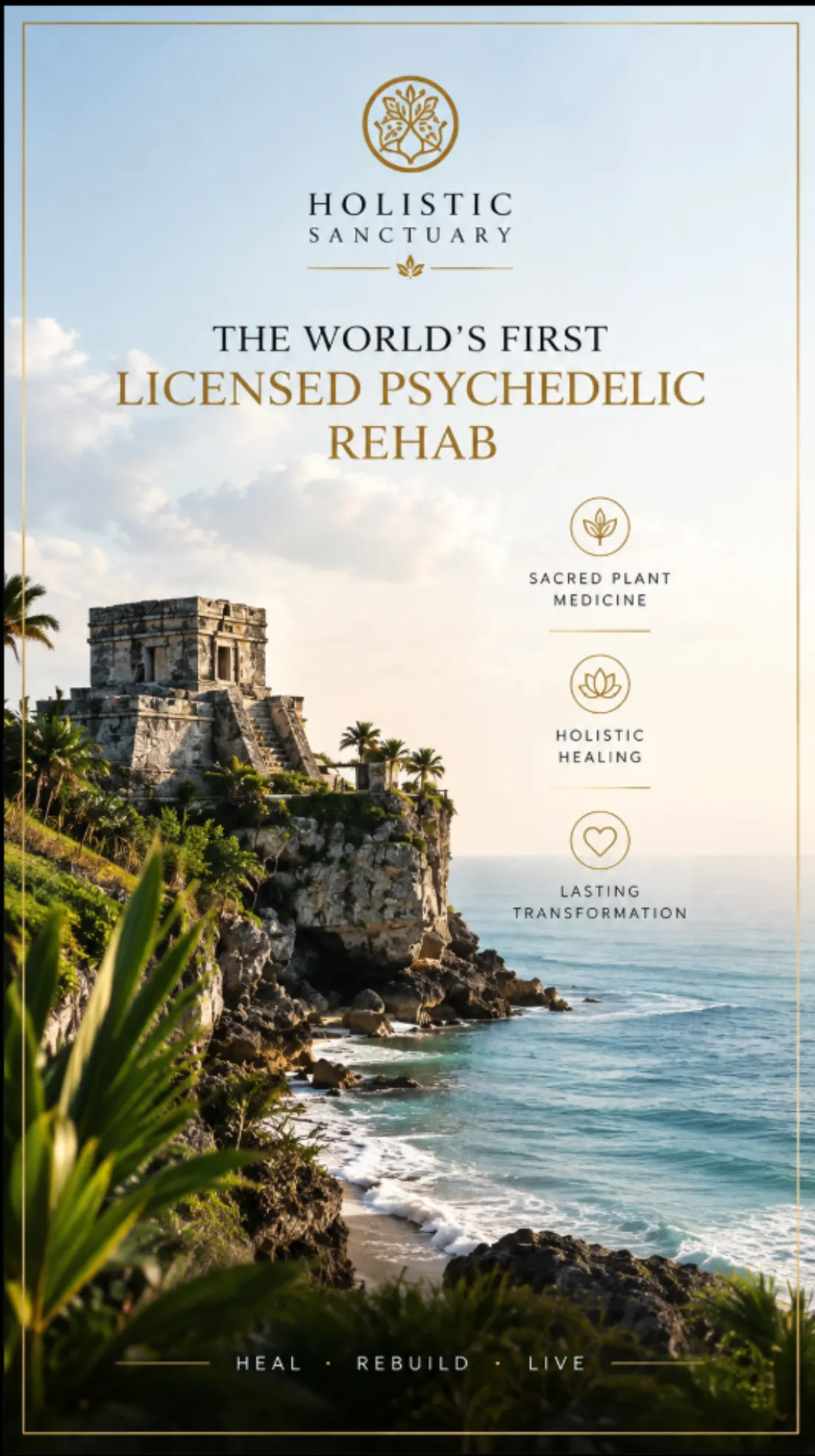 Holistic Sanctuary infographic describing a licensed psychedelic programme with sacred plant medicine, holistic healing and lasting transformation